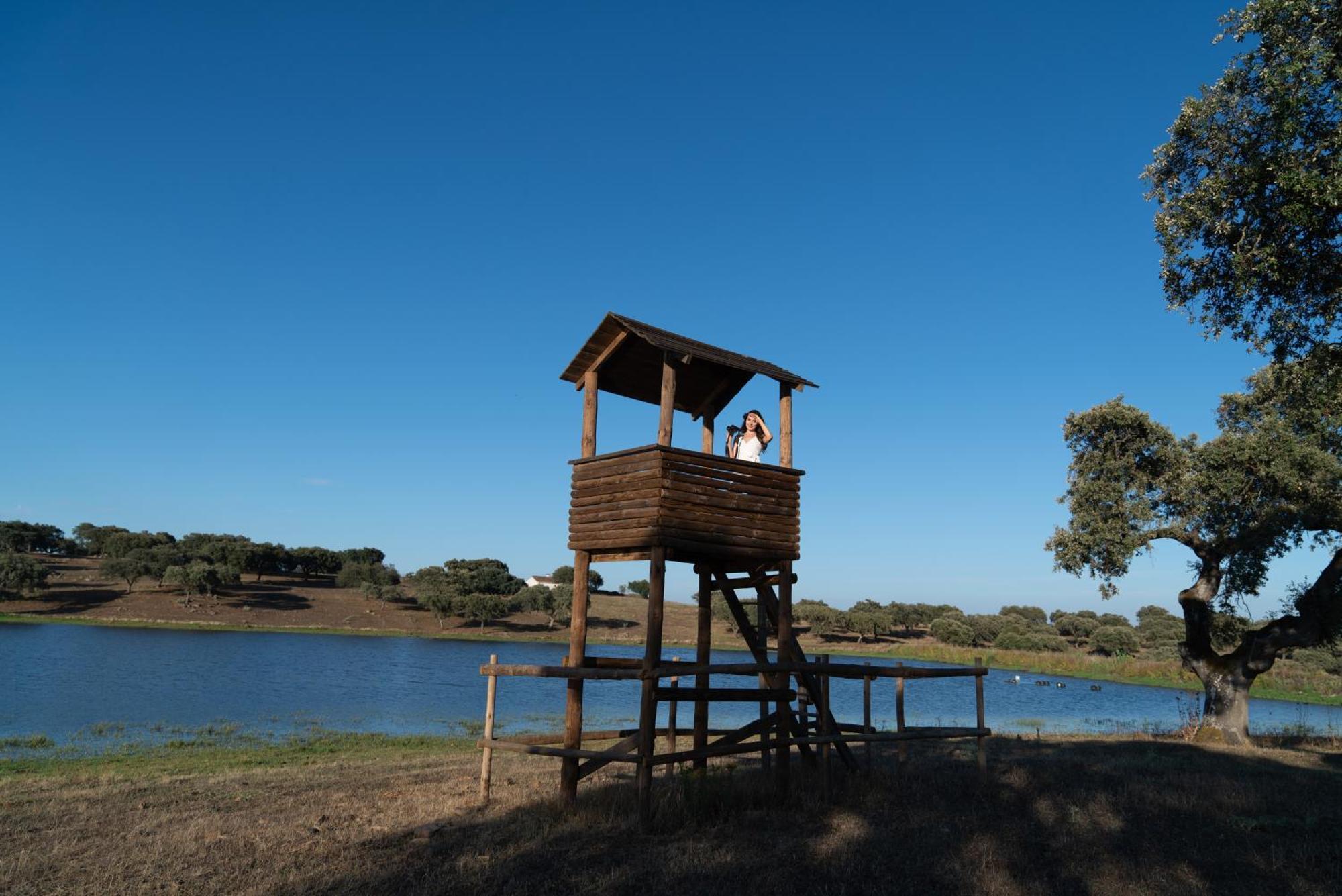 ヴィラ・ヴィソザ Monte Dos Cordeirosヴィラ エクステリア 写真